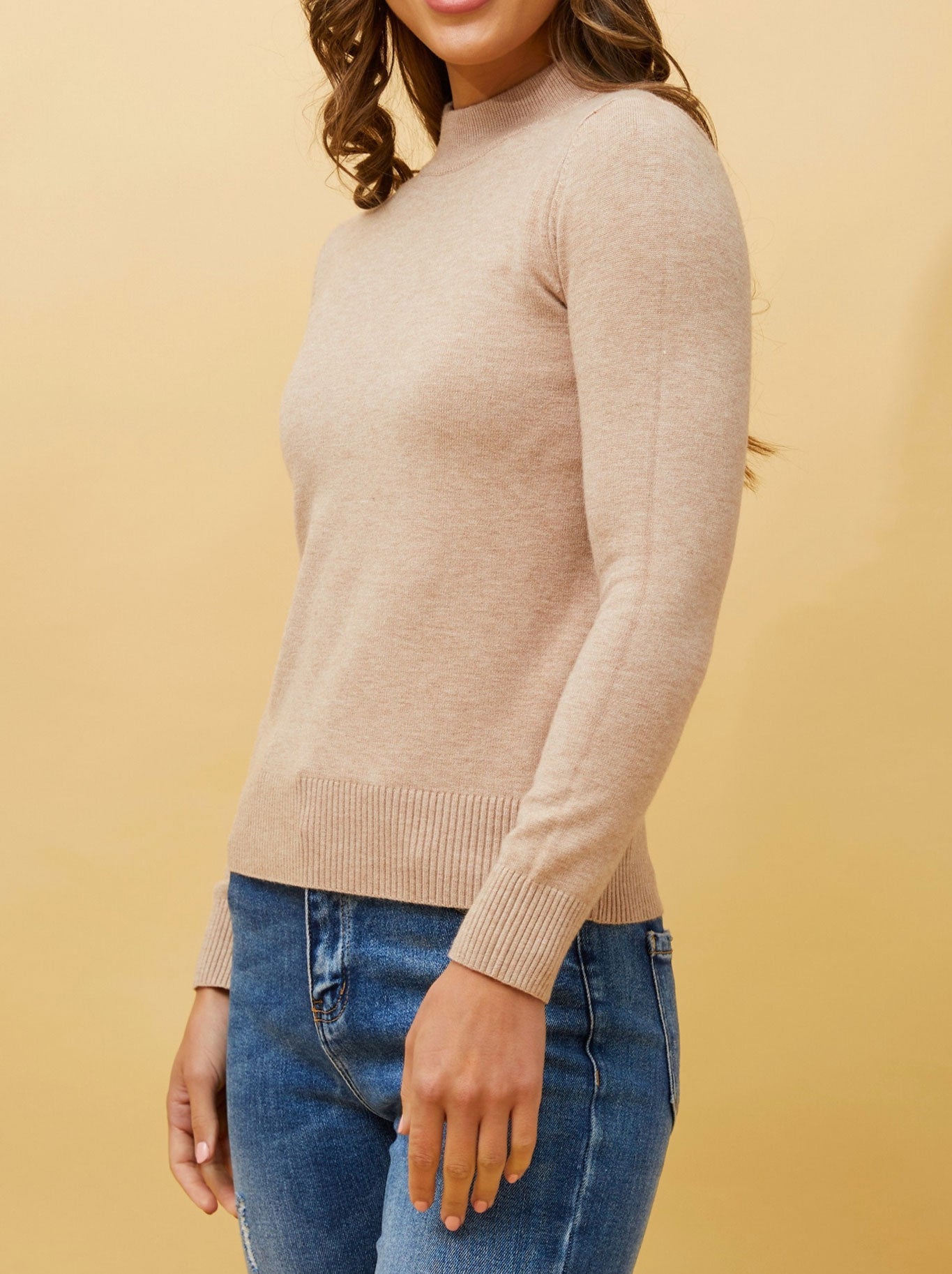 CAROLINE K MORGAN JERSEY KNIT TURTLE PULLOVER