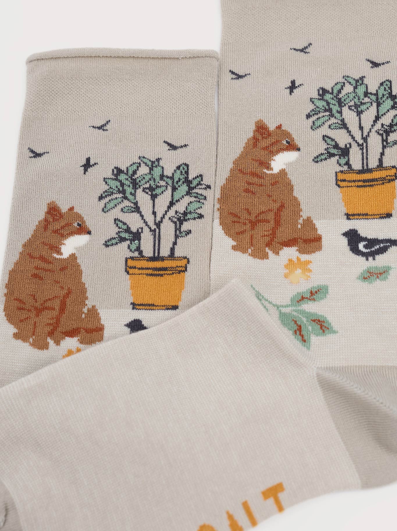 SEASALT BAMBOO ARTY SOCKS