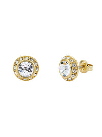 TED BAKER SOLETIA SPARKLE CRYSTAL STUDS